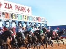 new mexico horse racing betting|New Mexico Sports Betting .